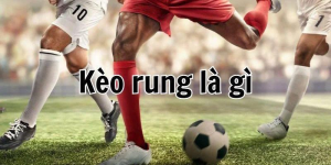 Tổng quan khái niệm kèo rung